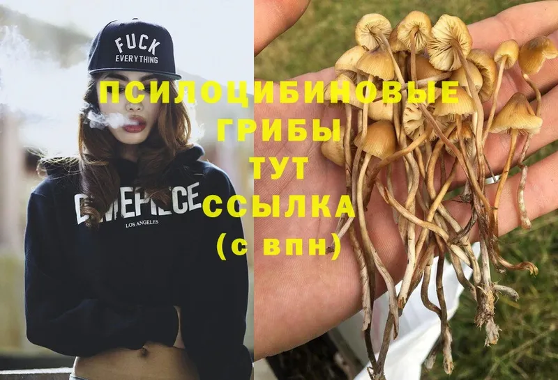 МЕГА ONION  Бабушкин  Псилоцибиновые грибы Psilocybe 